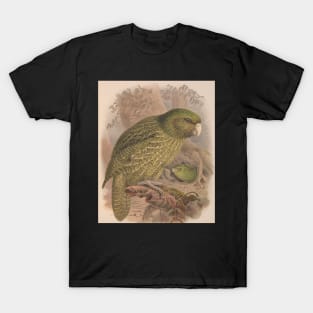 Kakapo, by Johannes Keulemans T-Shirt